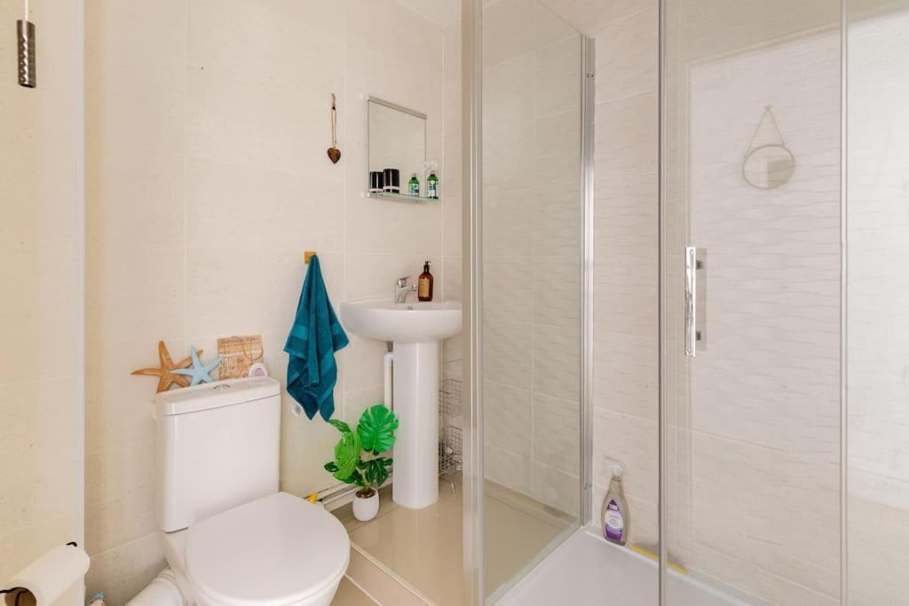 Modern Flat With Island Views In Heart Of Tenby Ngoại thất bức ảnh